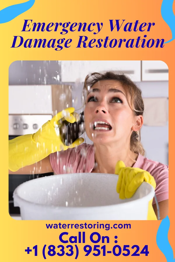 Emergency Water Damage Restoration in Grantsville, WV