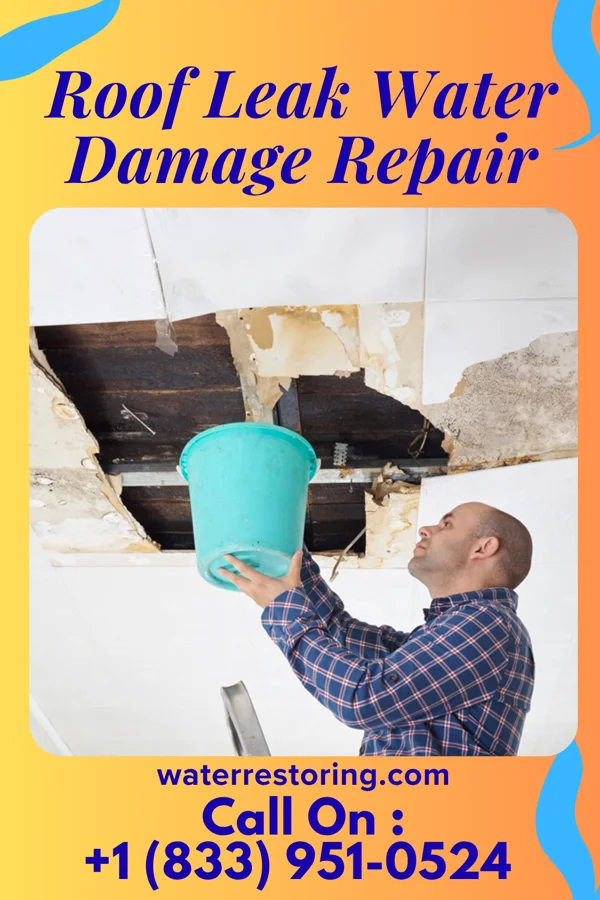 Roof Leak Water Damage Repair in Grantsville, WV