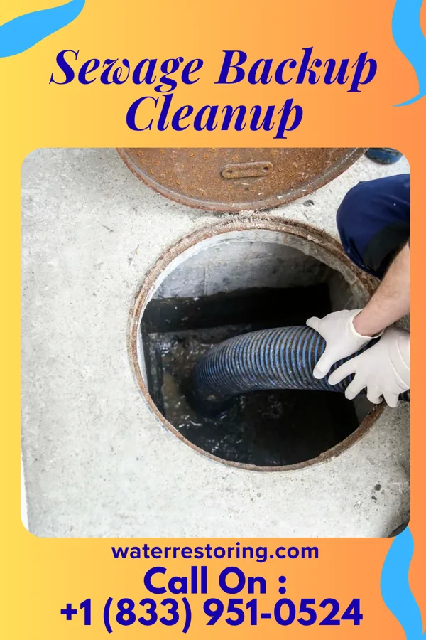 Sewage Backup Cleanup in Grantsville, WV