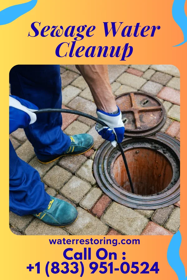 Sewage Water Cleanup in Grantsville, WV