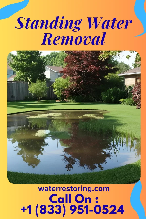 Standing Water Removal in Grantsville, WV
